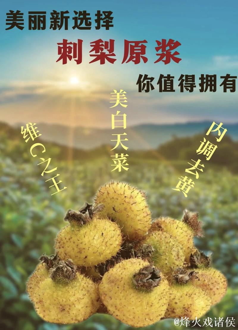 从刺梨故事看科技创新引领高质量发展